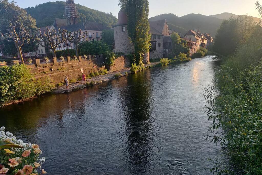 Clos Saint Jacques Thann Esterno foto