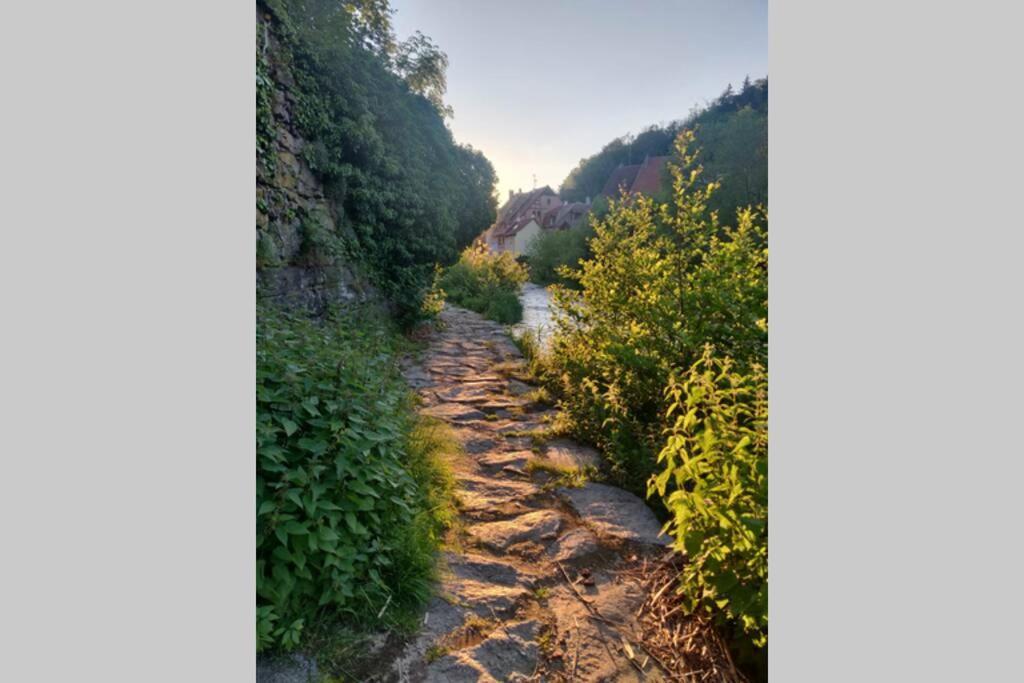Clos Saint Jacques Thann Esterno foto